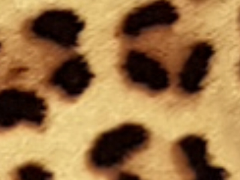 1 mt of POLI-FLEX IMAGE 4281 LEOPARD. Thermo transferable vinyl sheet POLI-TAPE