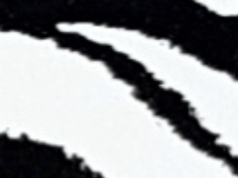 1 mt of POLI-FLEX IMAGE 4282 ZEBRA. Thermo transferable vinyl sheet POLI-TAPE