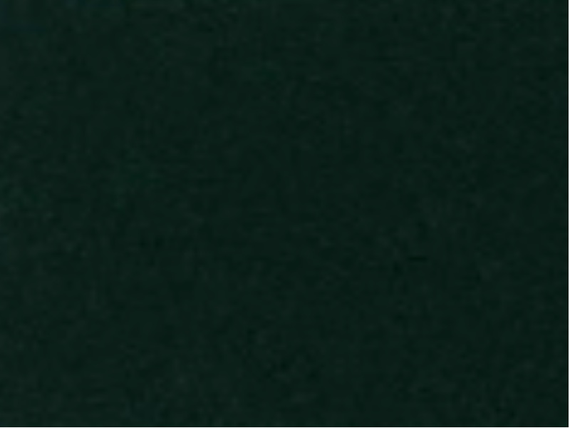 1 mt of POLI-FLEX PREMIUM 407 FOREST GREEN. Thermo transferable vinyl sheet POLI-TAPE