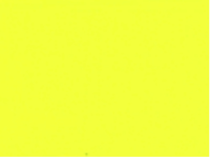 1 mt of POLI-FLEX PREMIUM 440 NEON YELLOW. Thermo transferable vinyl sheet POLI-TAPE