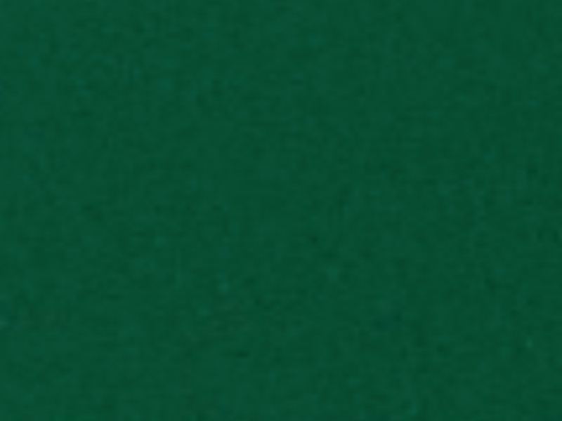 1 mt of POLI-FLEX TURBO 4904 GREEN. Thermo transferable vinyl sheet POLI-TAPE