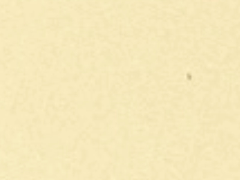 1 mt of POLI-FLEX TURBO 4917 BEIGE . Thermo transferable vinyl sheet POLI-TAPE