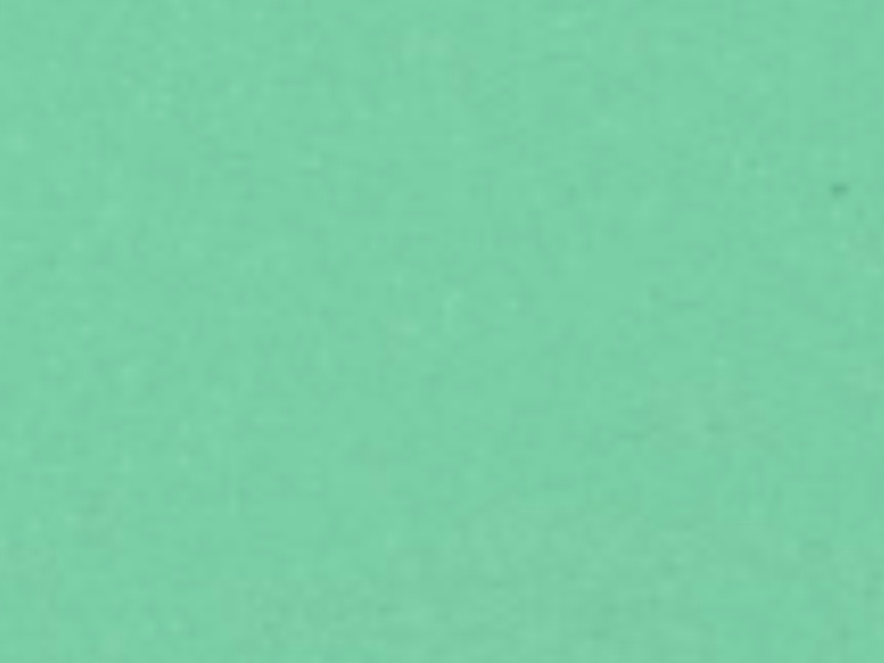 1 mt of POLI-FLEX TURBO 4977 MINT . Thermo transferable vinyl sheet POLI-TAPE