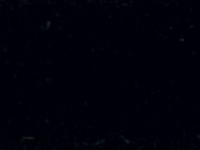 1 mt of TUBITHERM FLOCK 700 BLACK. Thermo transferable vinyl sheet POLI-TAPE