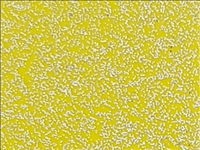 N°1 ROTOLINO 30x50 di SPARKLE SK0003 BUTTERCUP YELLOW.Rotolino termo trasferibile in vinile SISER