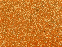 N°1 ROTOLINO 30x50 di SPARKLE SK0006 SUNSET ORANGE.Rotolino termo trasferibile in vinile SISER