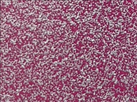 N°1 ROTOLINO 30x50 di SPARKLE SK0008 PERFECT PINK.Rotolino termo trasferibile in vinile SISER