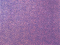 N°1 ROTOLINO 30x50 di HOLOGRAPHIC H0080 VIOLET.Rotolino termo trasferibile in vinile SISER