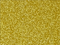N°1 ROTOLINO 30x50 di SPARKLE SK0020 GOLD STAR.Rotolino termo trasferibile in vinile SISER
