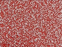 N°1 ROTOLINO 30x50 di SPARKLE SK0028 TOMATO RED. Rotolino termo trasferibile in vinile SISER