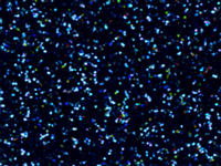 N°1 ROTOLINO 30x50 di GLITTER G0014 SAPPHIRE.Rotolino termo trasferibile in vinile SISER