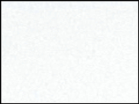 1 mt of POLI-FLEX PREMIUM 401 WHITE. Thermo transferable vinyl sheet POLI-TAPE