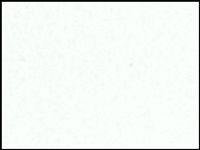 1 mt of POLI-FLEX NYLON 4801 WHITE. Thermo transferable vinyl sheet POLI-TAPE