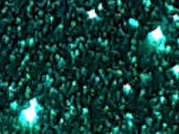 1 mt of POLI-FLEX PEARL GLITTER 427 EMERALD. Thermo transferable vinyl sheet POLI-TAPE