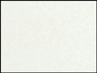 1 mt of POLI-FLEX IMAGE DIMENSION 4214 WHITE. Thermo transferable vinyl sheet POLI-TAPE