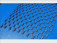 RETE A 4 STRASS CRYSTAL BASE NERA