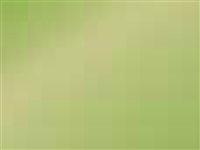 1 mt of POLI-FLEX TURBO 4933 BRIGHT LIME. Thermo transferable vinyl sheet POLI-TAPE