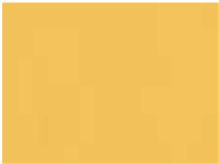 1 mt of POLI-FLEX TURBO 4921 BRIGHT GOLD . Thermo transferable vinyl sheet POLI-TAPE